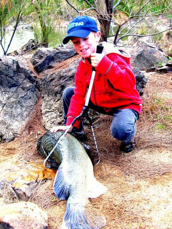 Catching a mighty Murray cod Fishing World Australia